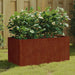 Plantekasse 80x40x40 cm cortenstål