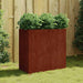 Plantekasse 80x40x80 cm cortenstål