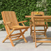 Klappstoler 2 stk 61x67x90 cm heltre teak