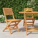Klappstoler 2 stk 47x62x90 cm heltre teak