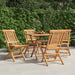 Klappstoler 4 stk 47x63x90 cm heltre teak