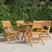 Klappstoler 4 stk 55x62x90 cm heltre teak