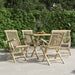 Klappstoler 4 stk grå 56x61x89 cm heltre teak