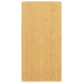 Bordplate 40x80x2,5 cm bambus