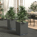 Plantekasser 2 stk svart 30x30x37 cm polypropylen
