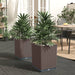Plantekasser 2 stk brun 30x30x37 cm polypropylen