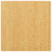 Bordplate 70x70x4 cm bambus