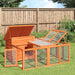 Kaninbur brun 144x123x67,5 cm heltre furu