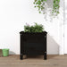 Hageplantekasse svart 40x40x39 cm heltre furu vidaXL