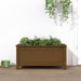 Plantekasse honningbrun 82,5x40x39 cm heltre furu