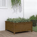Plantekasse honningbrun 82,5x82,5x39 cm heltre furu