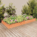 Høybed med foring brun 240x120x25 cm heltre gran vidaXL