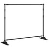 Bakgrunnsstativer 2 stk svart 254x243 cm stål