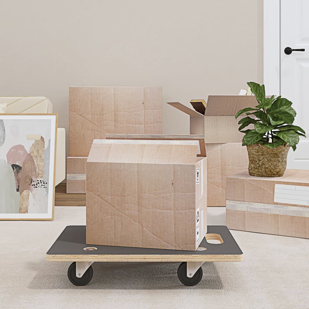 Transporttraller 2 stk rektangulær 60x40x11,5 cm 250 kg