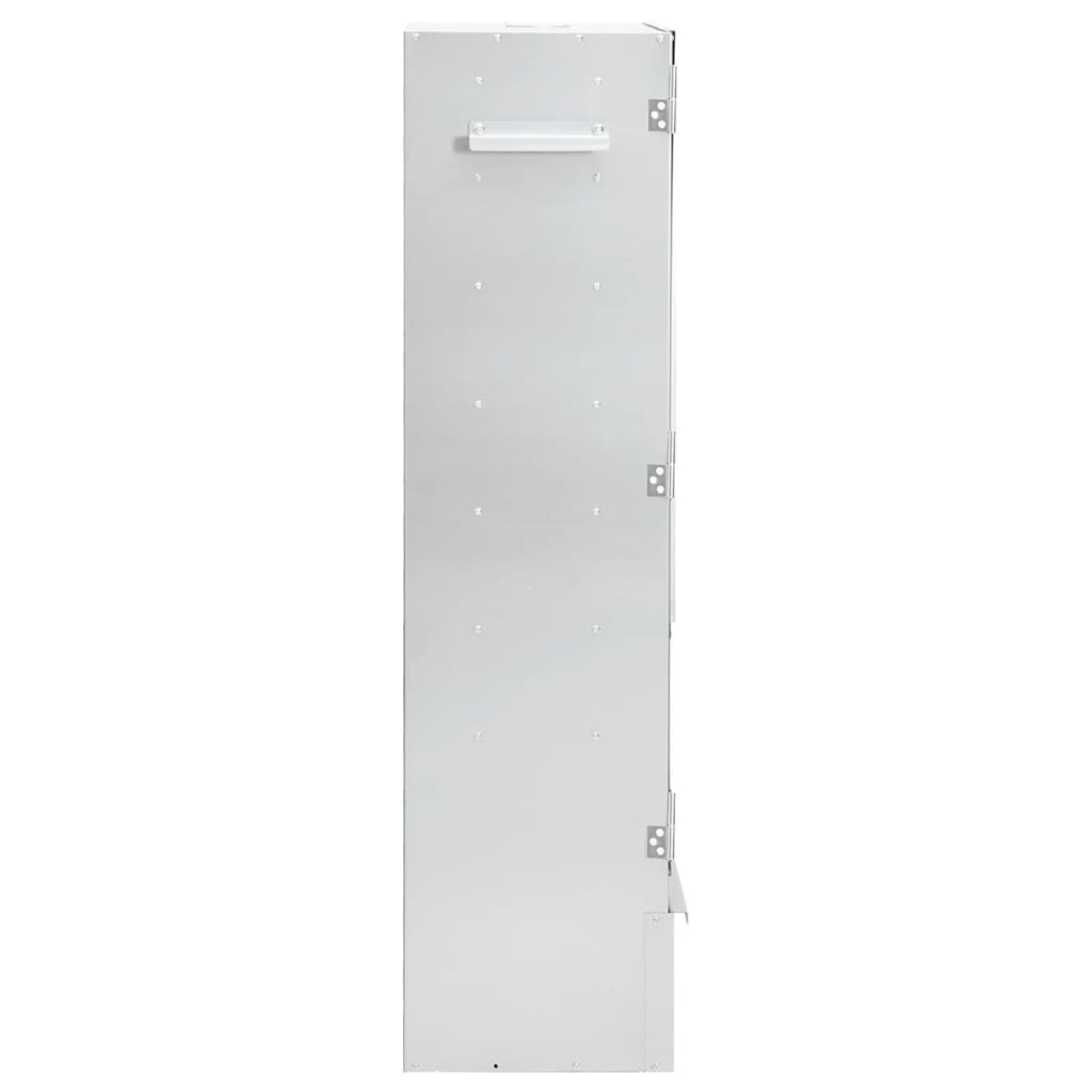 Ovnsrøyker med kaldrøykgenerator galvanisert stål vidaXL