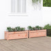 Hageplantekasse 2 stk heltre douglasgran