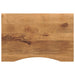 Skrivebordsplate med kurve 100x60x2,5 cm heltre grovt mangotre