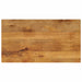 Bordplate 100x70x3,8 cm rektangulær heltre mango vidaXL
