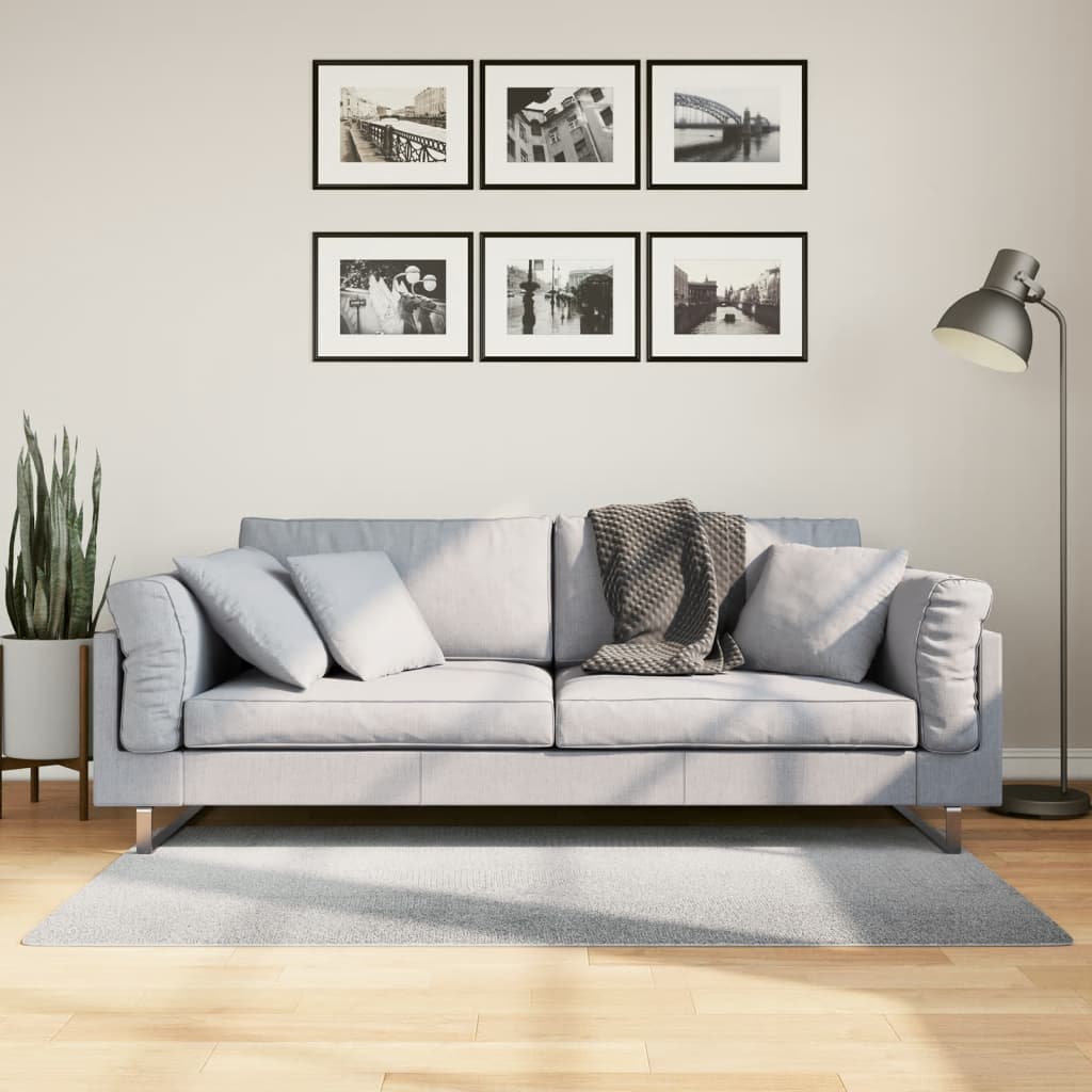 Rug IZA kort luv skandinavisk utseende grå 80x150 cm