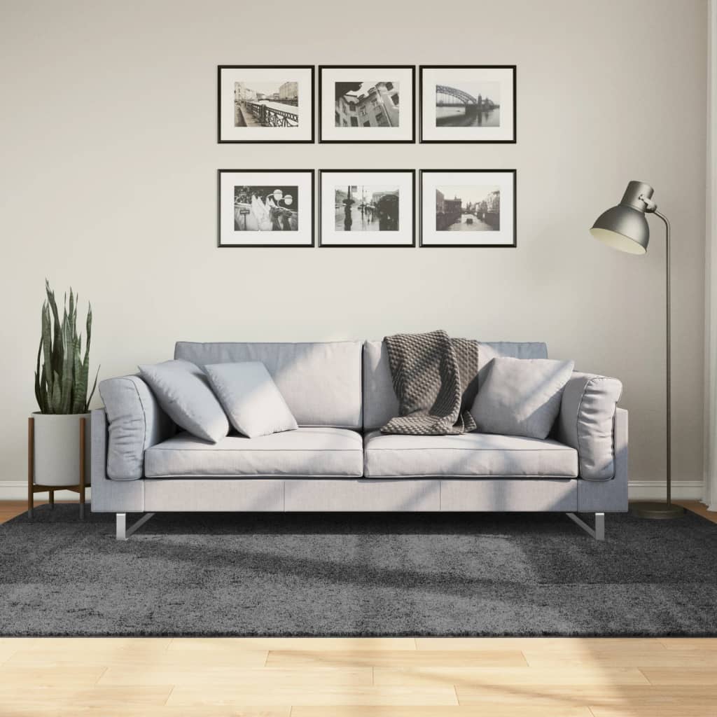 Teppe OVIEDO kort luv antrasitt 160x230 cm