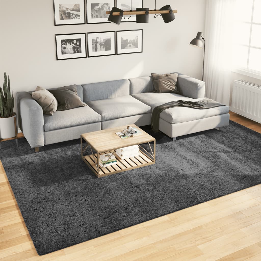 Teppe OVIEDO kort luv antrasitt 240x340 cm