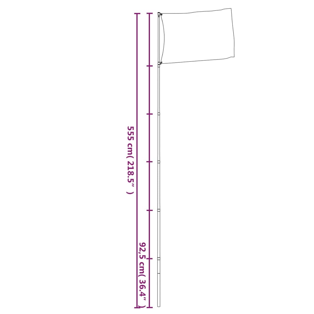Ukrainsk flagg og stang 5,55 m aluminium