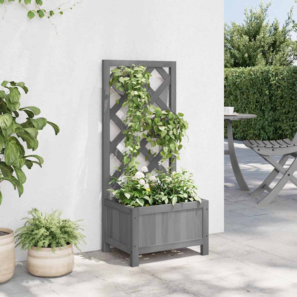 Plantekasse med espalier grå heltre gran