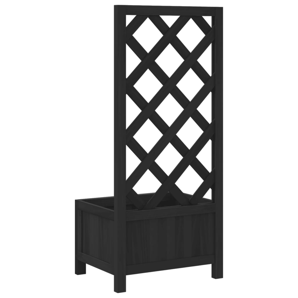 Plantekasse med espalier svart heltre gran
