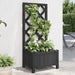 Plantekasse med espalier svart heltre gran