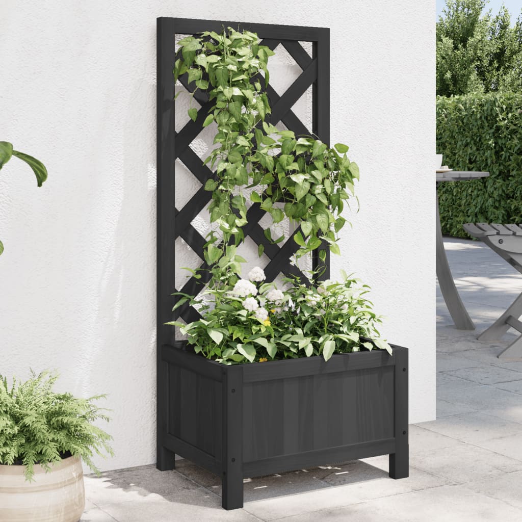 Plantekasse med espalier svart heltre gran