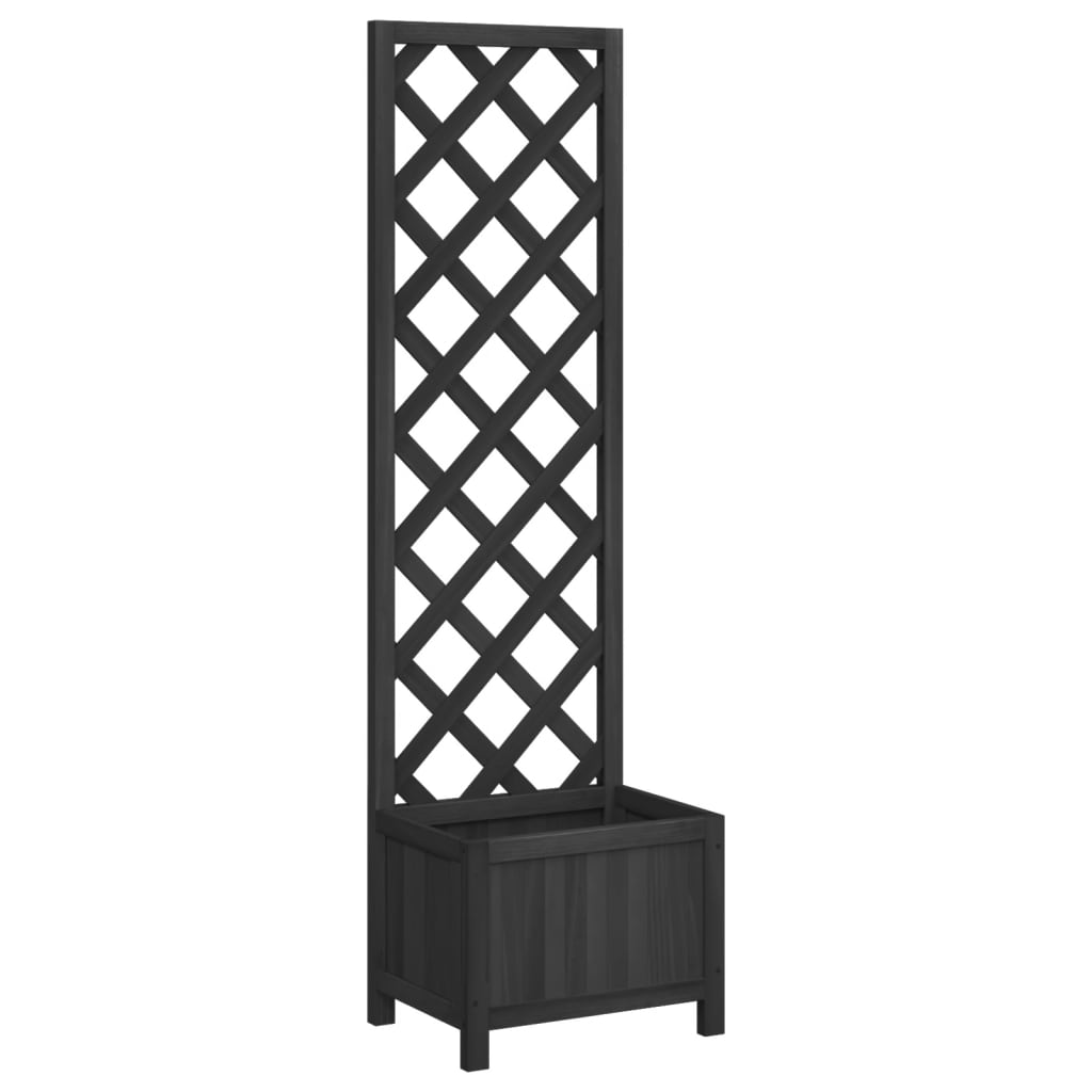 Plantekasse med espalier svart heltre gran