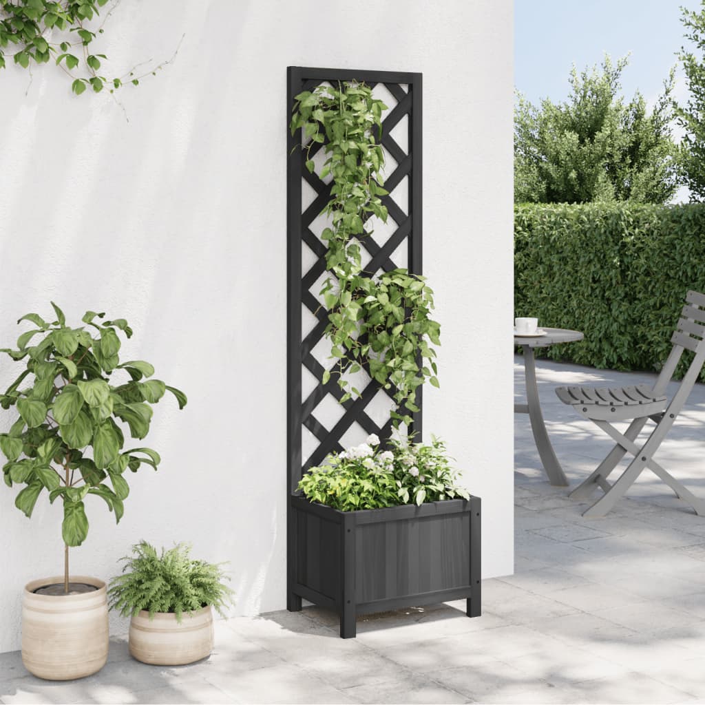 Plantekasse med espalier svart heltre gran
