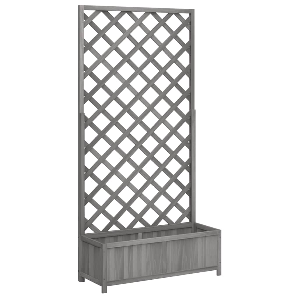 Plantekasse med espalier grå heltre gran
