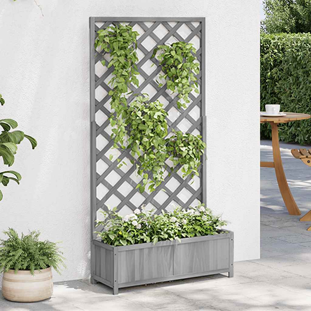 Plantekasse med espalier grå heltre gran