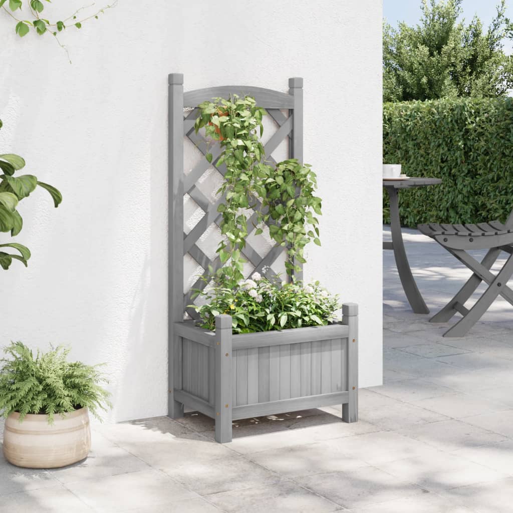 Plantekasse med espalier grå heltre gran
