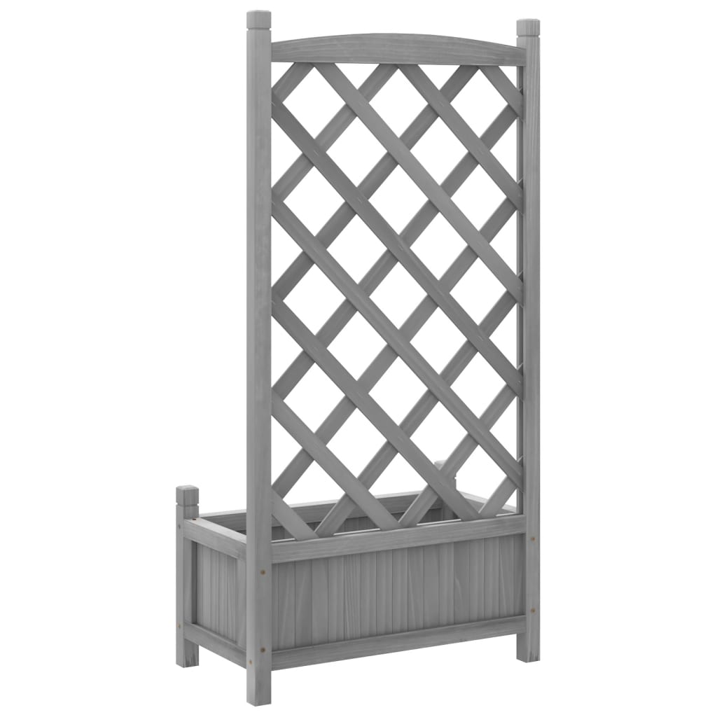 Plantekasse med espalier grå heltre gran