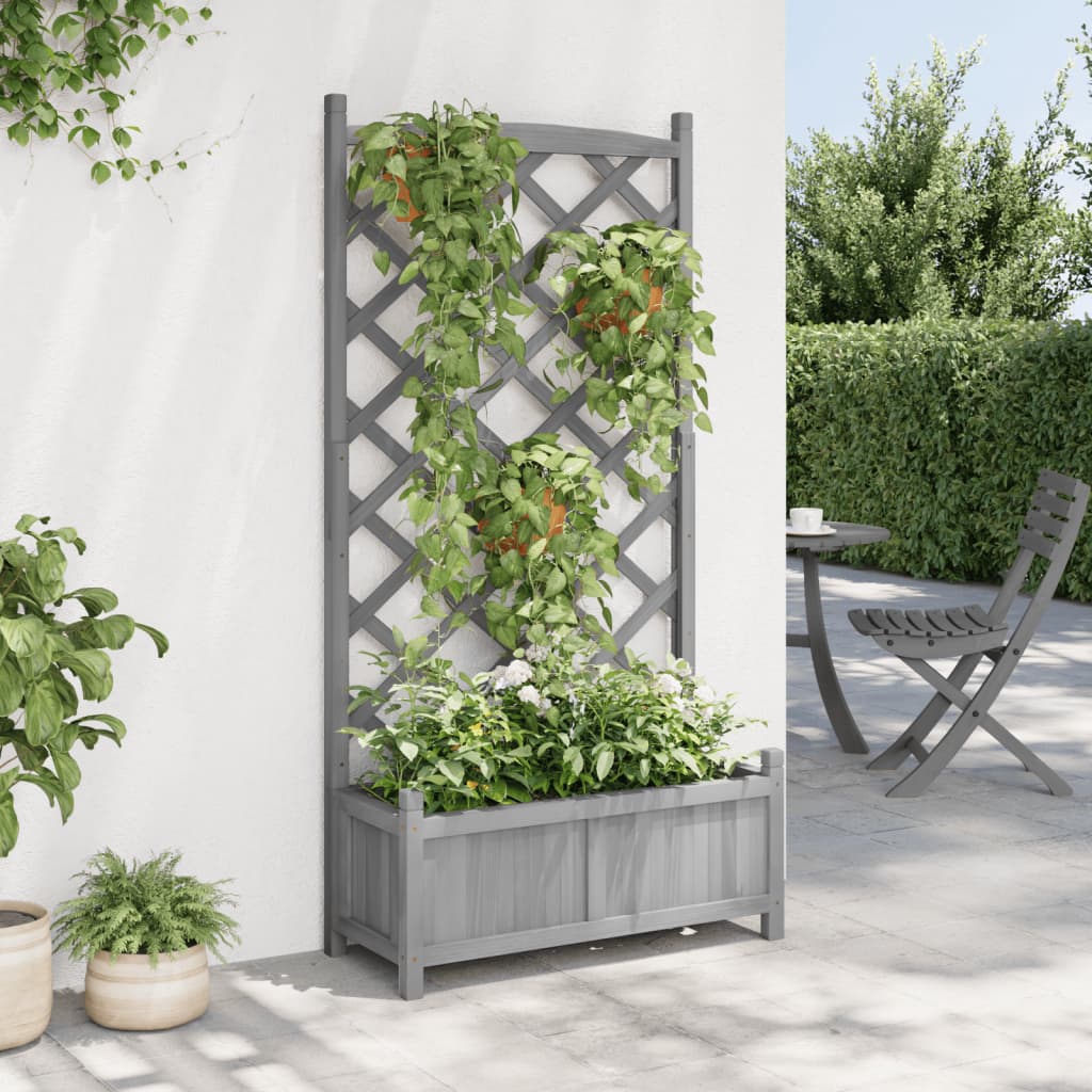 Plantekasse med espalier grå heltre gran