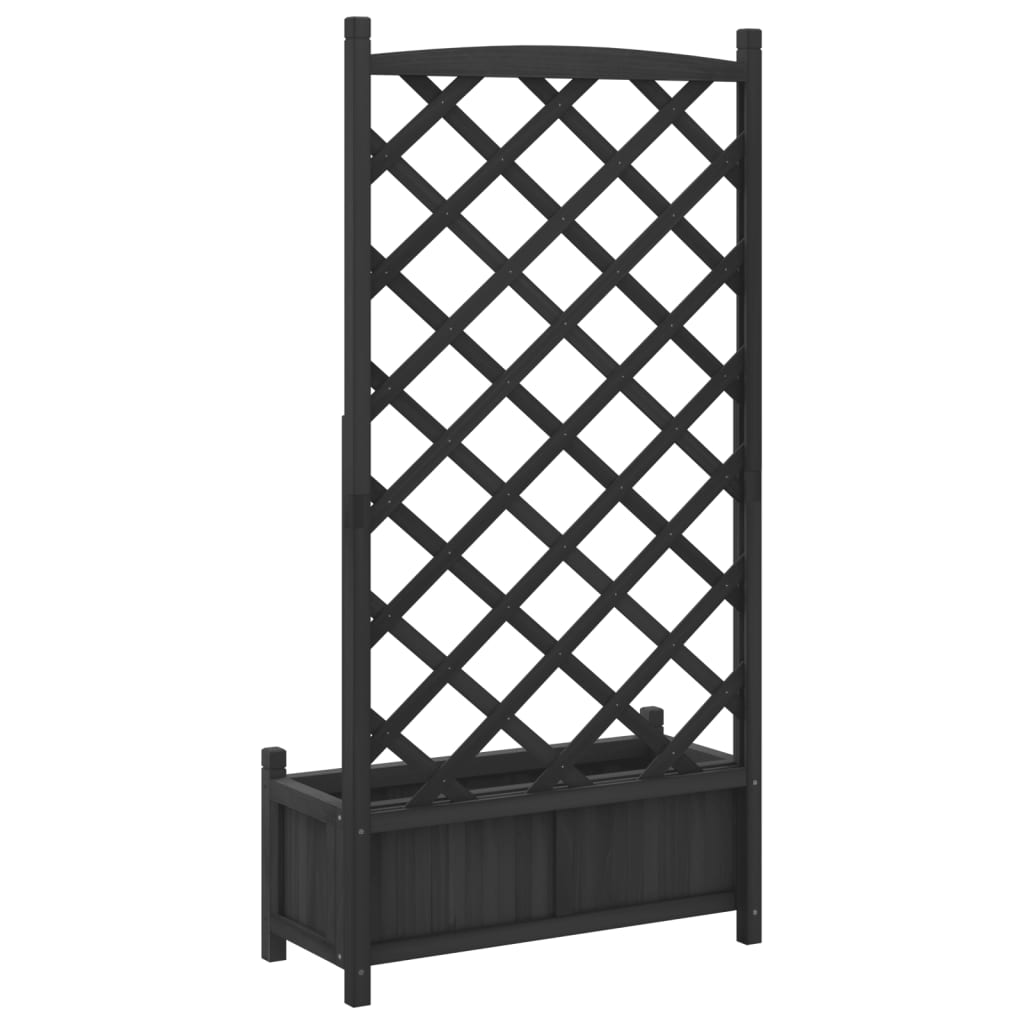Plantekasse med espalier svart heltre gran