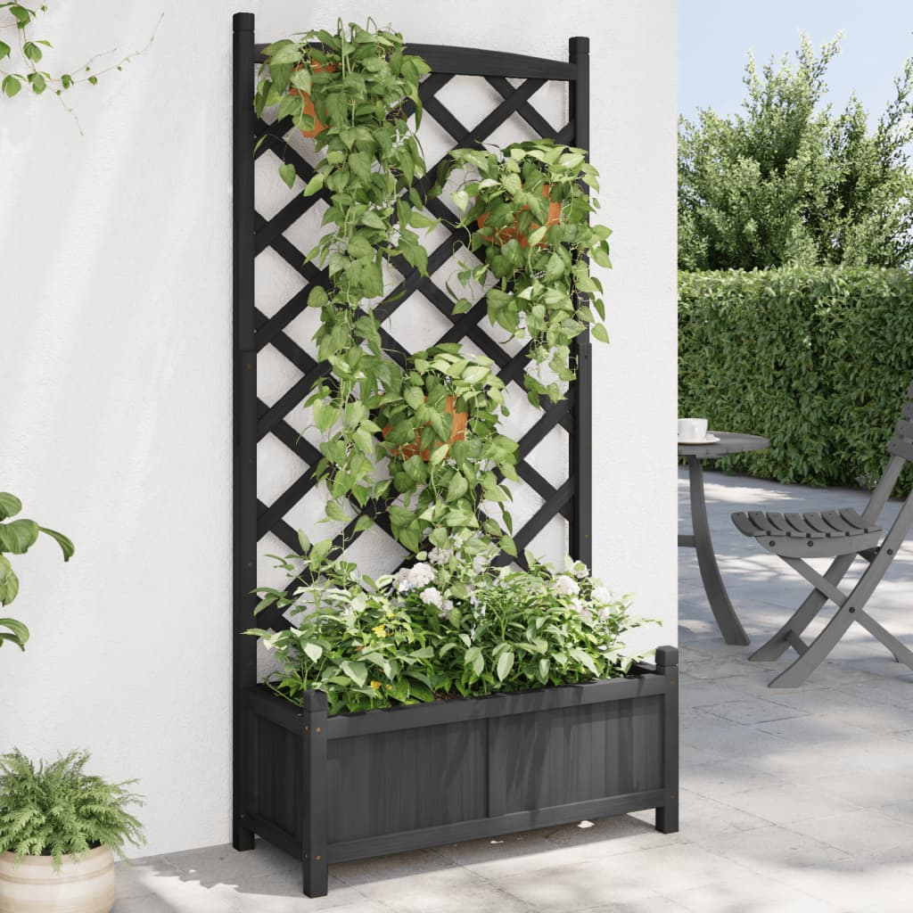 Plantekasse med espalier svart heltre gran