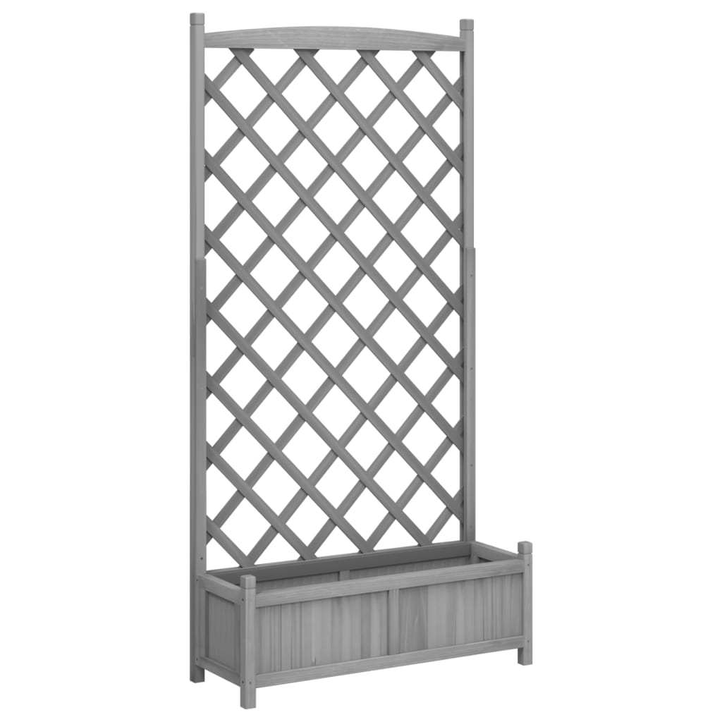 Plantekasse med espalier grå heltre gran