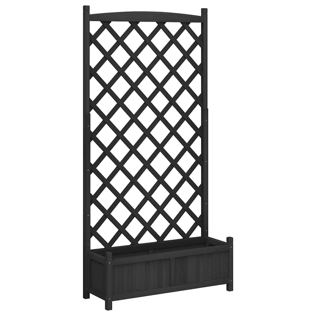 Plantekasse med espalier svart heltre gran