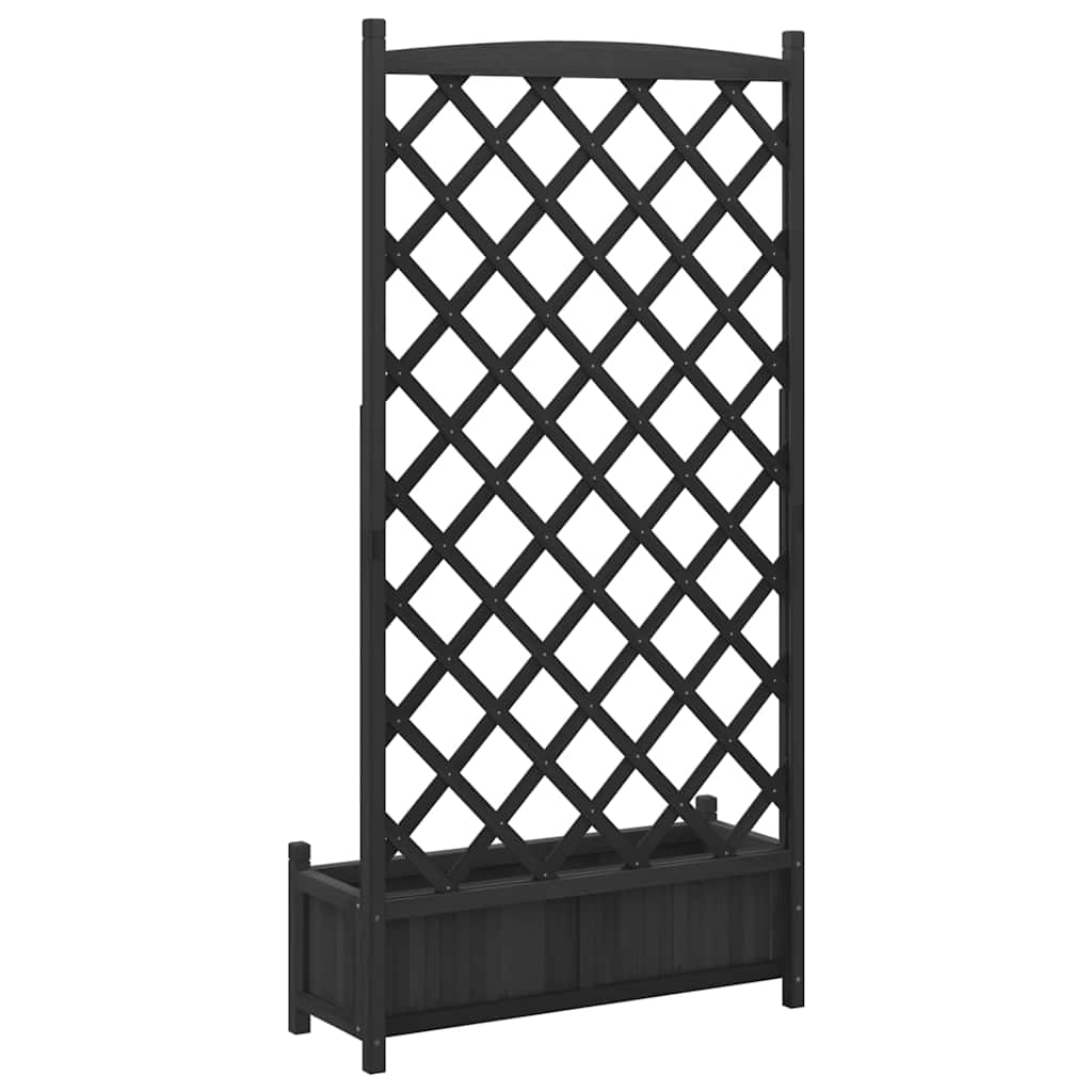 Plantekasse med espalier svart heltre gran