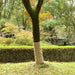 juterull 1 x 15 m 100 % jute 200 g/m²