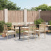 Hagespisegruppe med puter 7 deler polyrotting beige