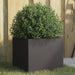 Plantekasse svart 32x30x29 cm stål