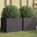Plantekasser 2 stk svart 32x30x29 cm stål