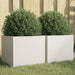 Plantekasser 2 stk hvit 32x30x29 cm stål