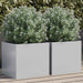 Plantekasser 2 stk sølv 32x30x29 cm rustfritt stål