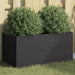 Plantekasse svart 62x30x29 cm stål