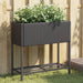 Plantekasser med hylle 2 stk svart 70x28x70 cm polyrotting